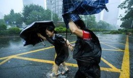 台风 在线观看,实时在线观看，揭秘风暴的神秘面纱