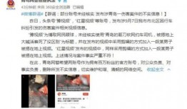 爆料涞源新闻事件视频播放,真相与争议交织